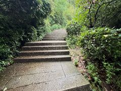 -巢湖姥山岛