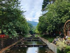 -广州白江湖森林公园