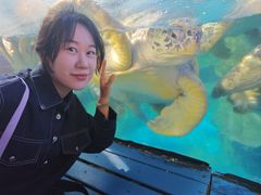 -烟台海昌鲸鲨海洋公园