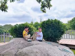 -白鹭湾湿地公园