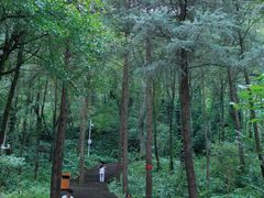-青城山