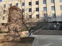 -青岛市图书馆