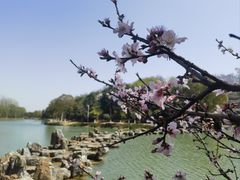 -南京珍珠泉风景区