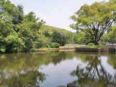 -无锡梅园公园