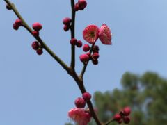 -白塘生态植物园