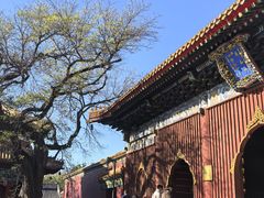 -闲·胡同 Barblu Hutong(雍和宫五道营店)