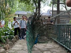 -柳州市动物园