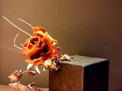 -白木炭·海鲜烧烤(东晓南店)