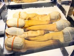 加拿大象拔蚌-協成海鮮火鍋(老店)