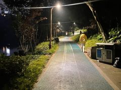 -重庆彩云湖湿地公园