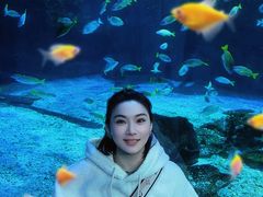-海合安武汉极地海洋公园