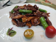 澳洲牛肋肉-大树餐厅(红旗街万达店)