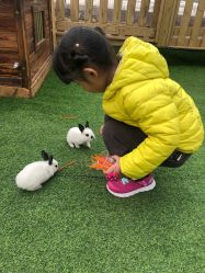 -萌宠亲子动物乐园(槐房万达店)