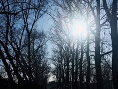 -二一九公园