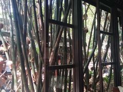 -勐丽梦兰傣味餐厅