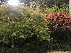 -张江润和国际总部园