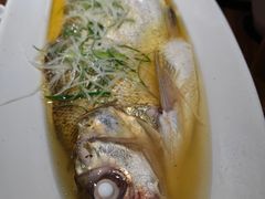 鸡汁蒸太湖白鱼-金枝玉叶上海人家食府(三里河店)