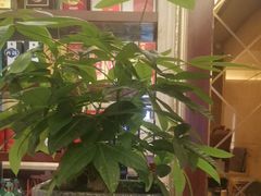 -小八仙·宴(三峡茶庄店)