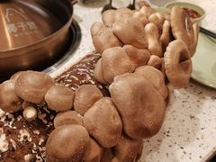 -椰子营·椰子鸡火锅(万象里店)