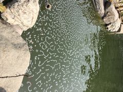 iphone_upload_pic-中国唐苑