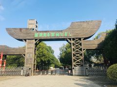 -溱湖国家湿地公园