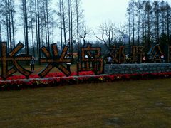 -上海长兴岛郊野公园