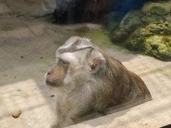-海南热带野生动植物园