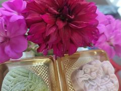 -昆明冠生园·蛋糕·面包(南强街店)