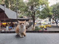 -朱氏胖子烂火锅(洪崖洞店)
