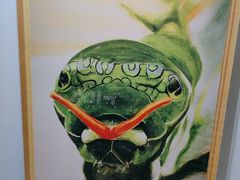 -上海昆虫博物馆