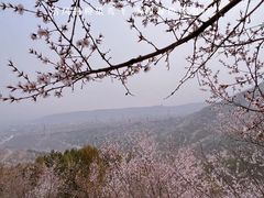 -北京凤凰岭