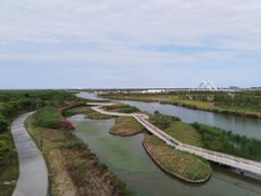 -春花秋色城市公园