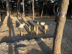 -北京西山国家森林公园