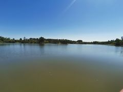 -东郊湿地公园