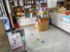 -瑞派长江宠物医院·猫科·外科·24小时夜护(谊城公寓分院)