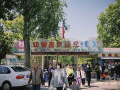 -保定市动物园