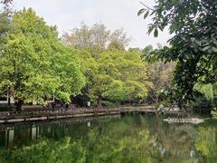 -望江楼公园