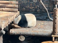 -济南野生动物世界