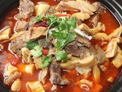 -筋头巴脑牛一锅(朝阳路总店)