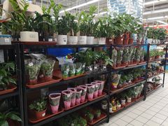 -大润发(东关世茂店)