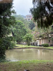 -爱帝宫月子中心(罗湖别墅院)