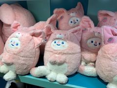 -海合安青岛极地海洋公园