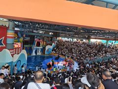 -海合安武汉极地海洋公园