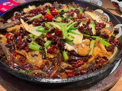 -老板恋上鱼(高新万达店)