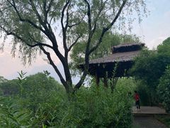 -新江湾城公园