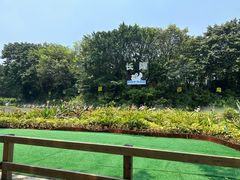 -广州长隆飞鸟乐园