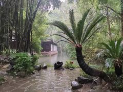 -陈麻婆豆腐(旗舰店)