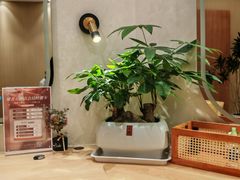 -瑶舍头疗·瑶浴·芳香热石SPA(五洲国际店)