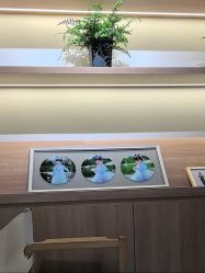 -七色田儿童摄影(静安店)