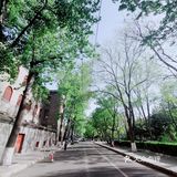 中式传统风格的大门掩映着中西合璧的校舍